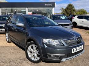 ŠKODA OCTAVIA at Westaway Motors Northampton