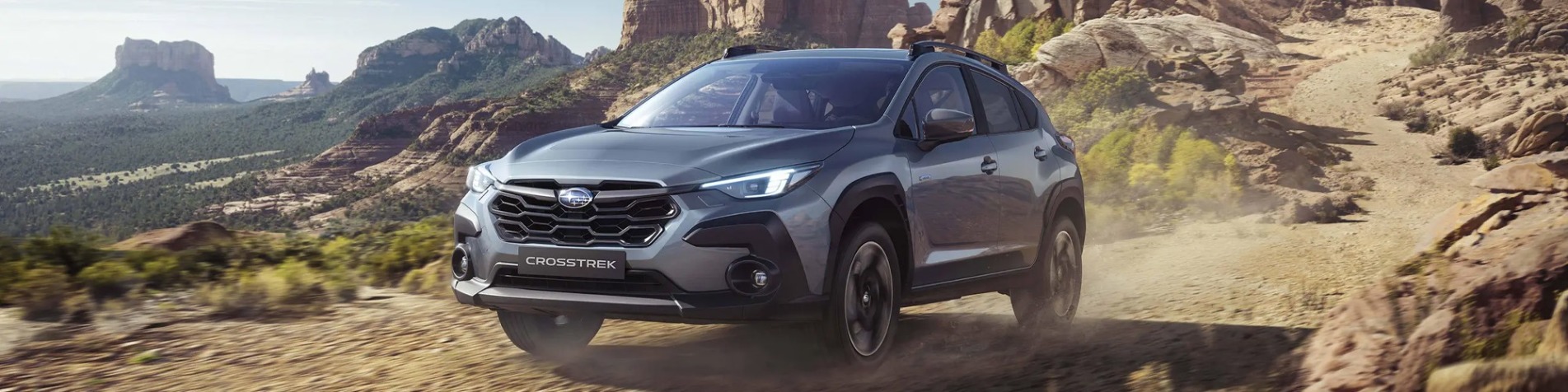 Subaru Global Placeholder Banner